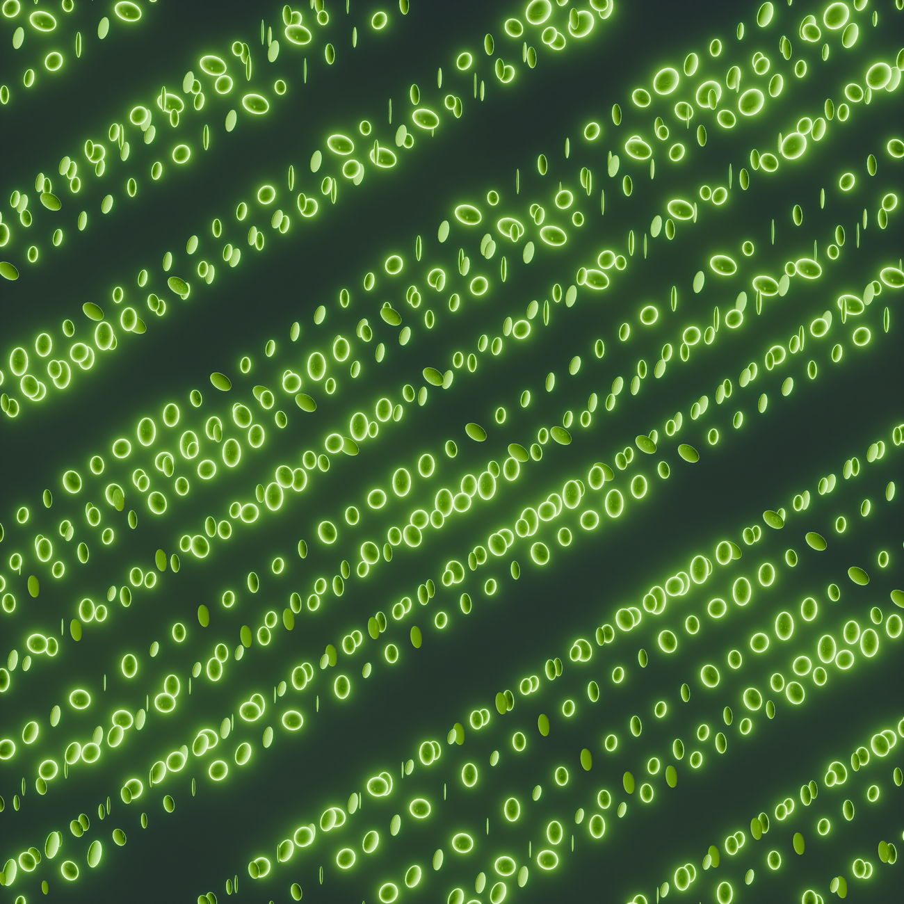 Artificial Intelligence Algorithms