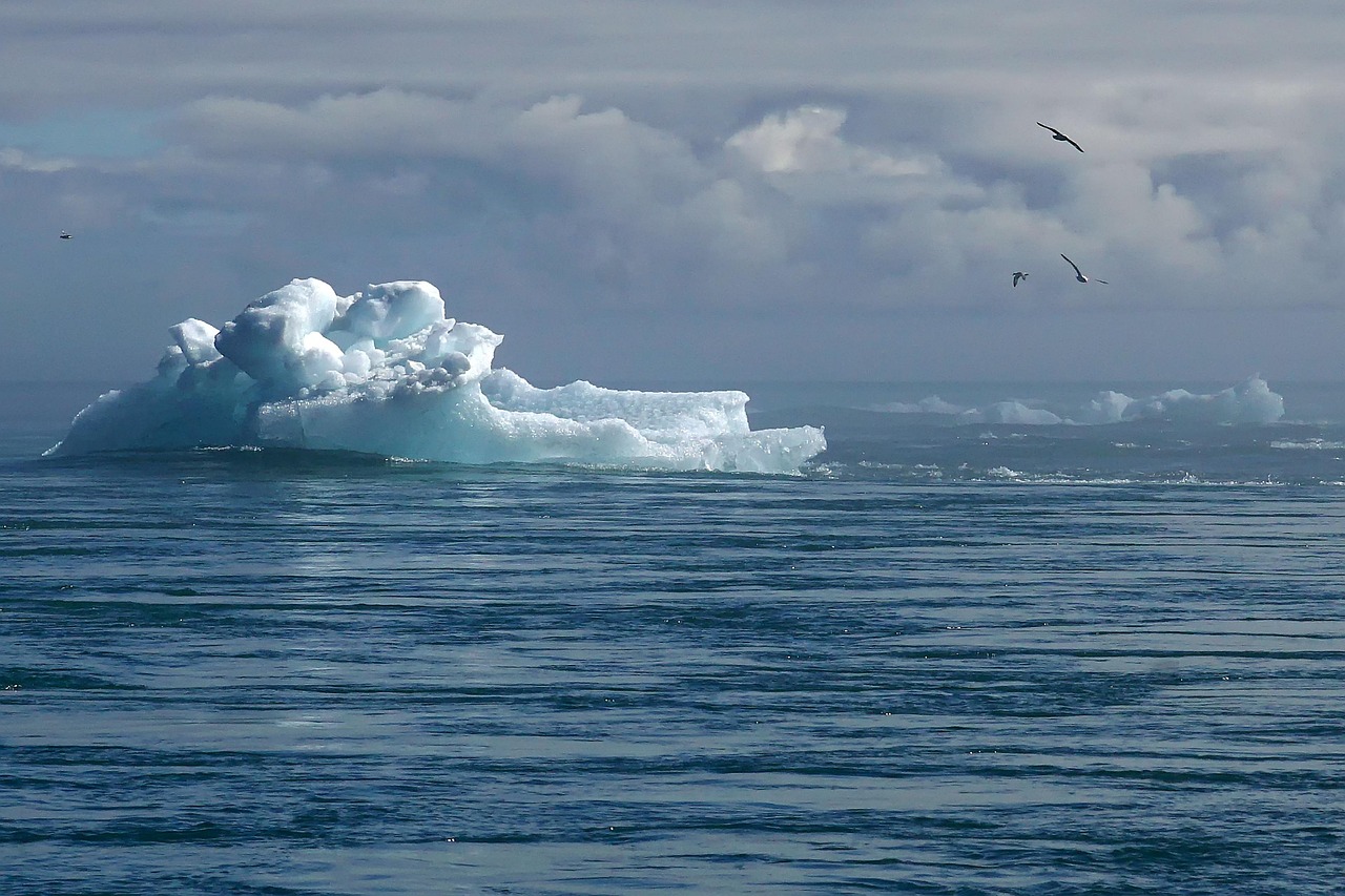 Adaptation Planning and Resilience