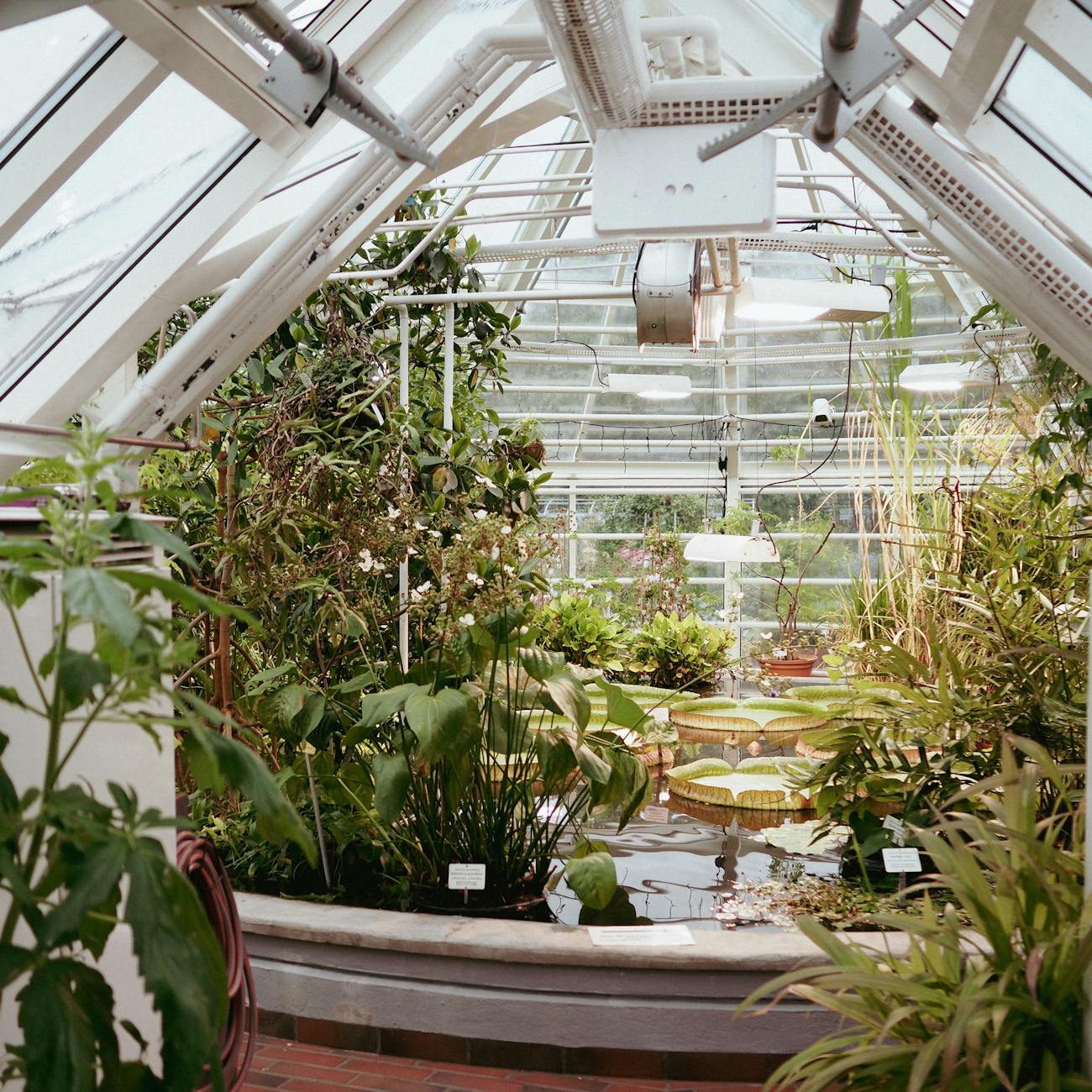Lighting Technologies for Horticulture