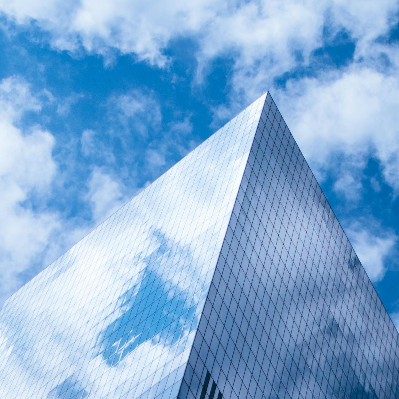 Transparency and Accountability in AI