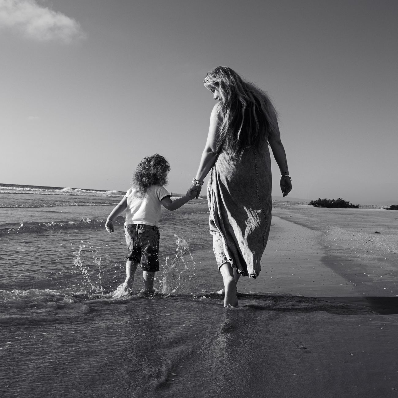 Understanding Child Development