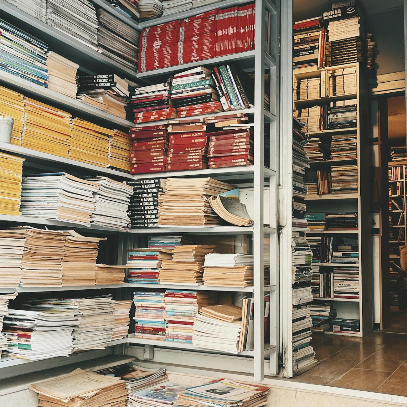 Literature and Social Justice