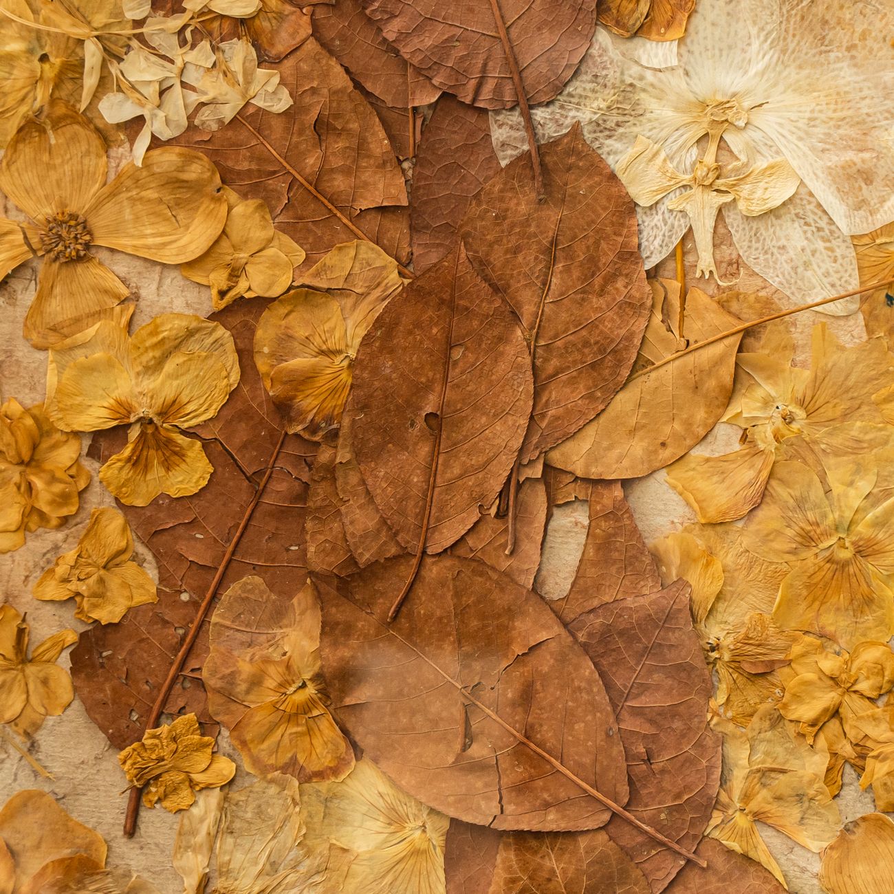 Chemistry for Textile Conservation