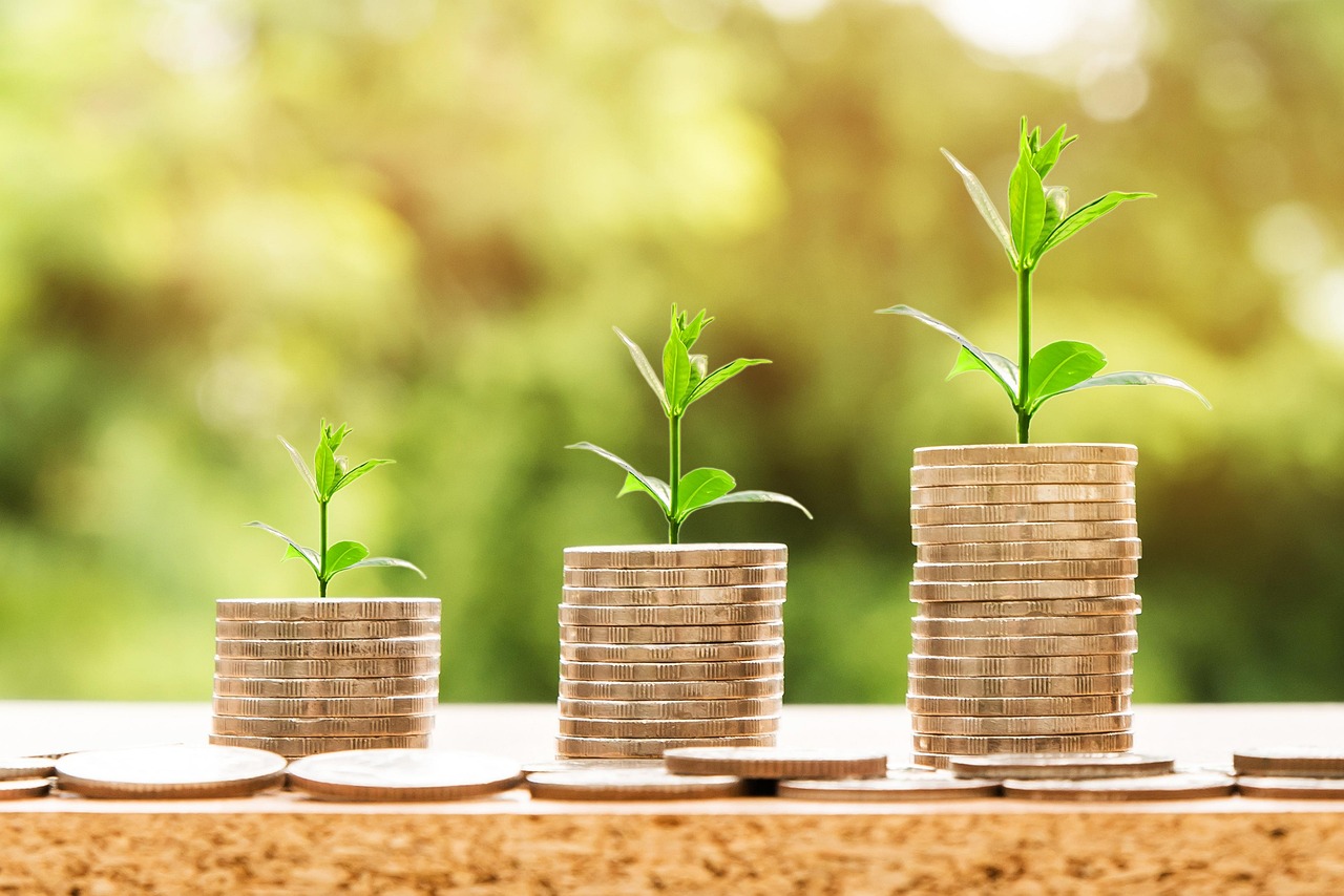Cross-Border Taxation Issues