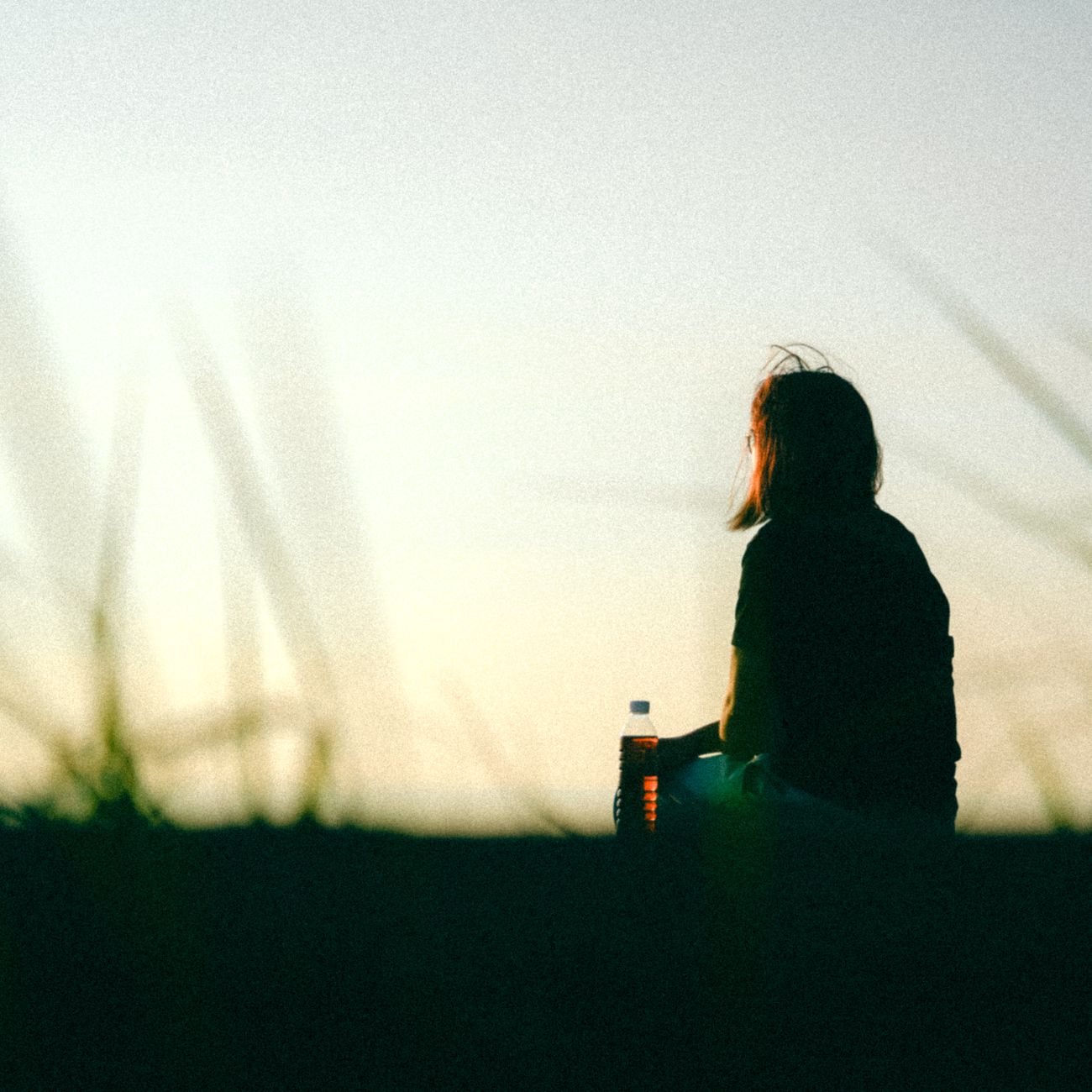 Coping with Emotions without Using Food