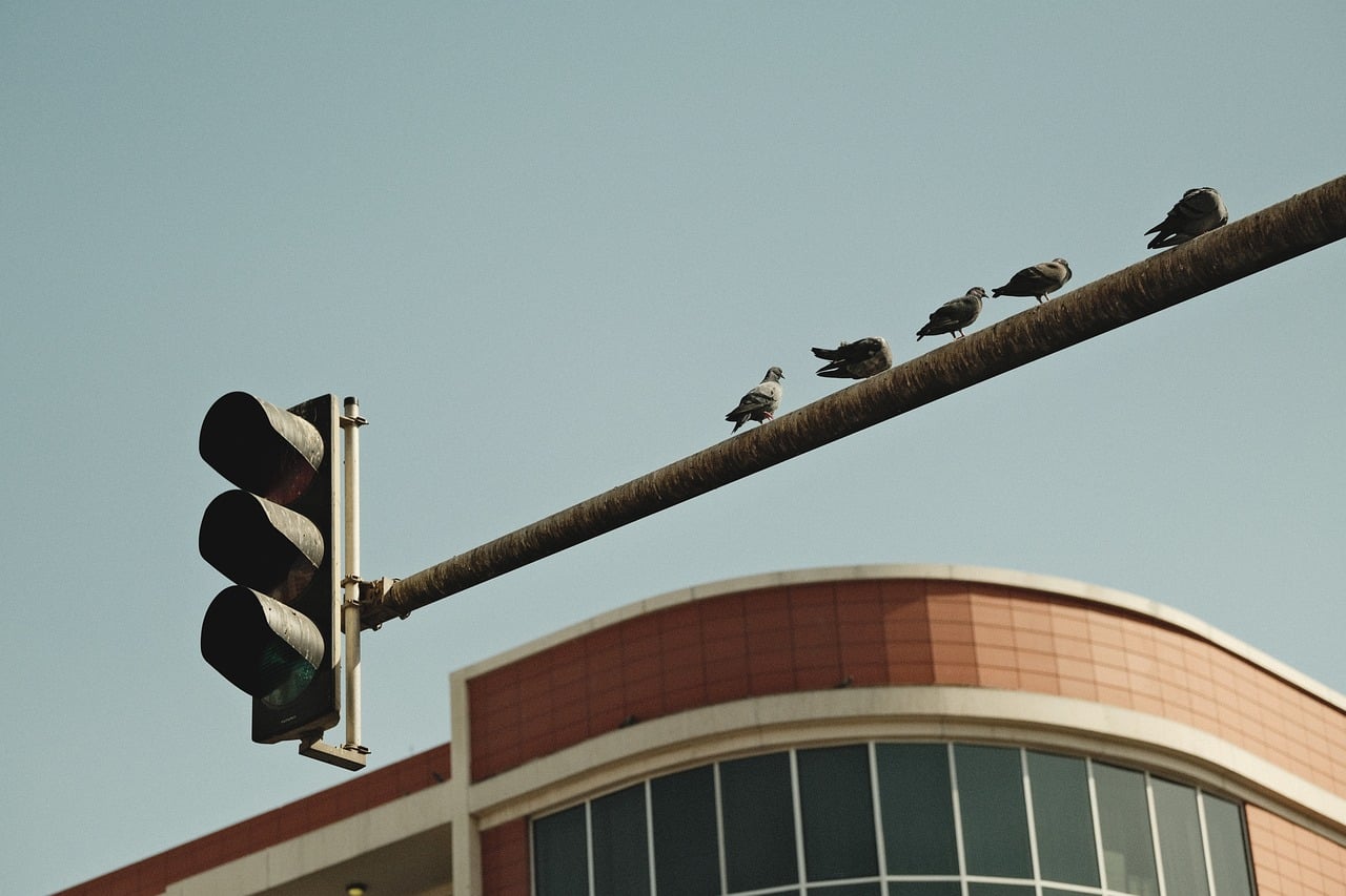 Signal Detection and Management
