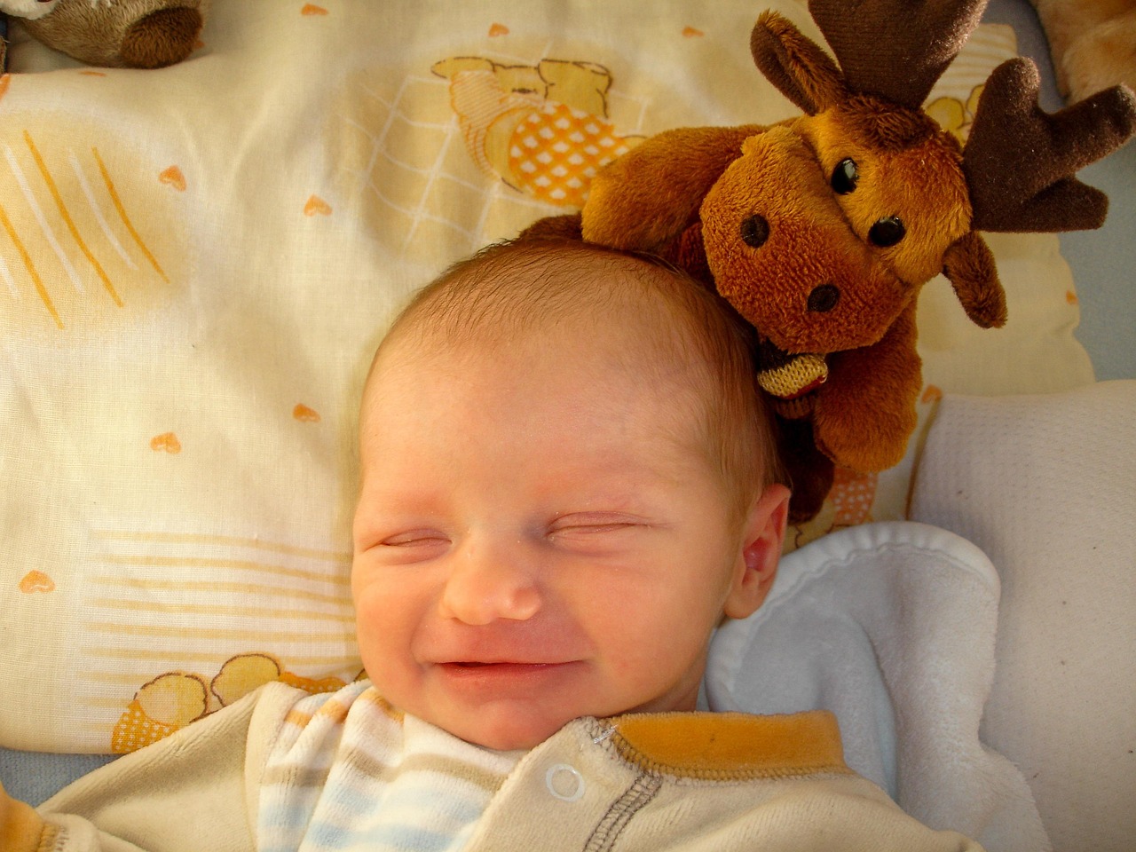 Neonatal ARDS Management