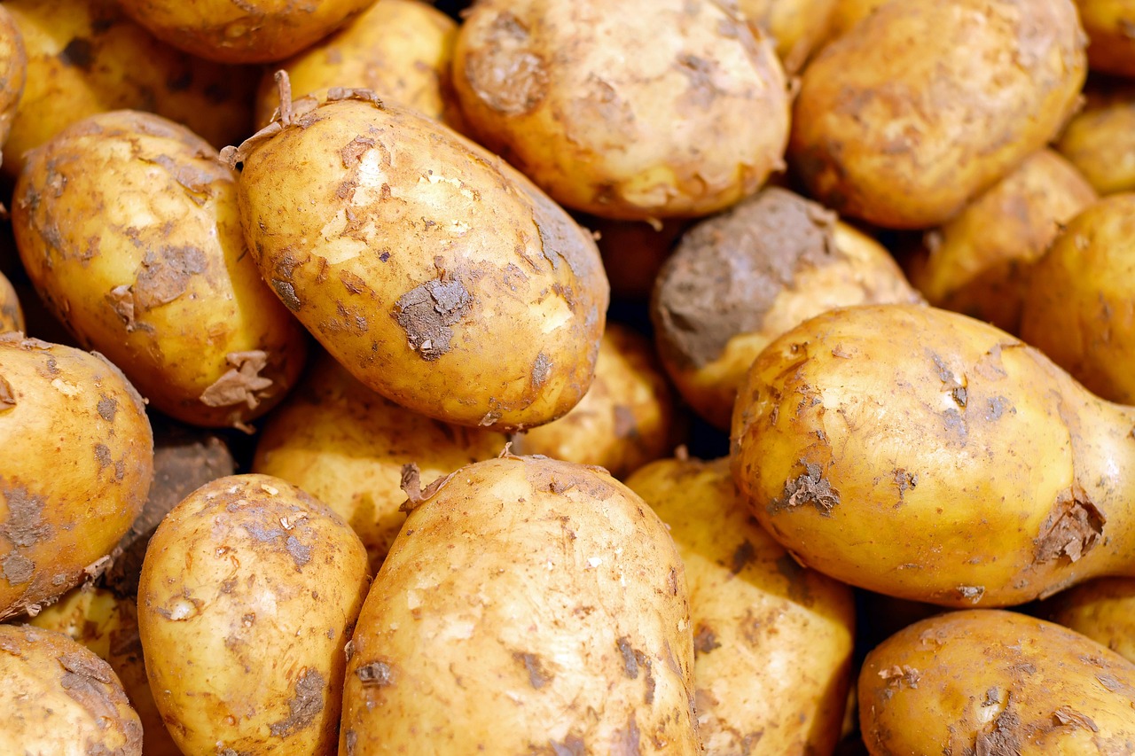 Deep Learning for Ingredient Analysis