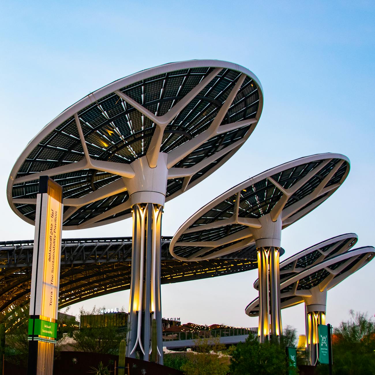 Renewable Energy Integration