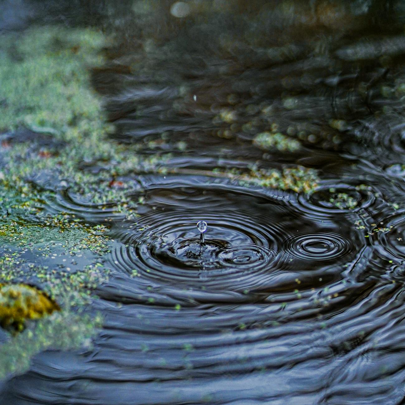 Water Conservation and Management