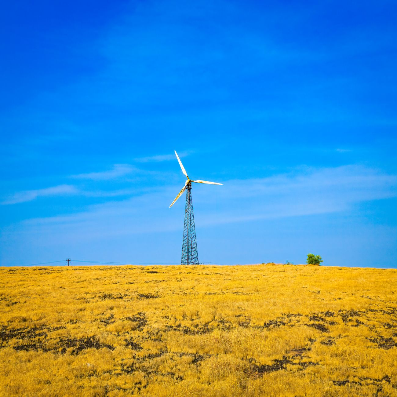 Biomass Conversion Technologies