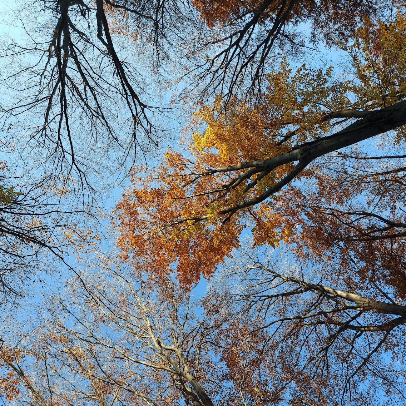 Fear of Falling in Different Environments