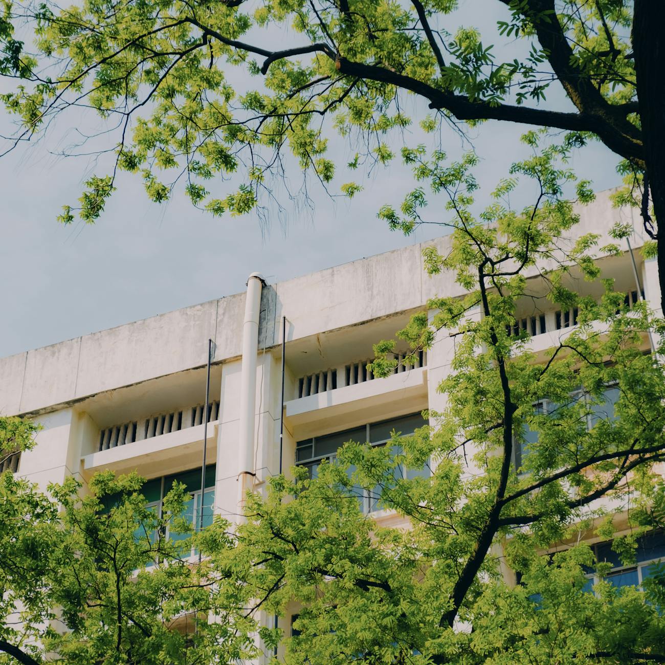 Daylighting Principles