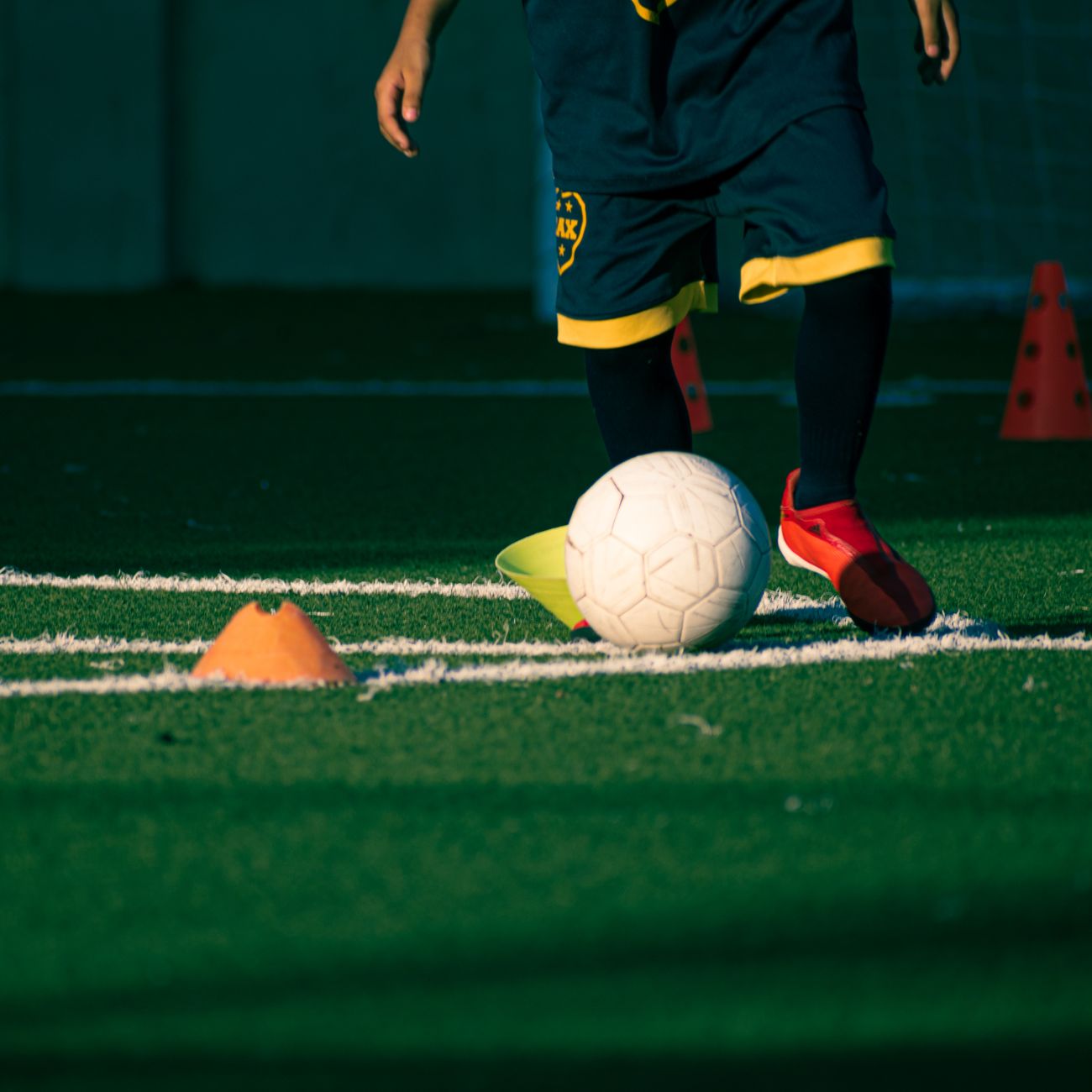 Sport Psychology in Coaching