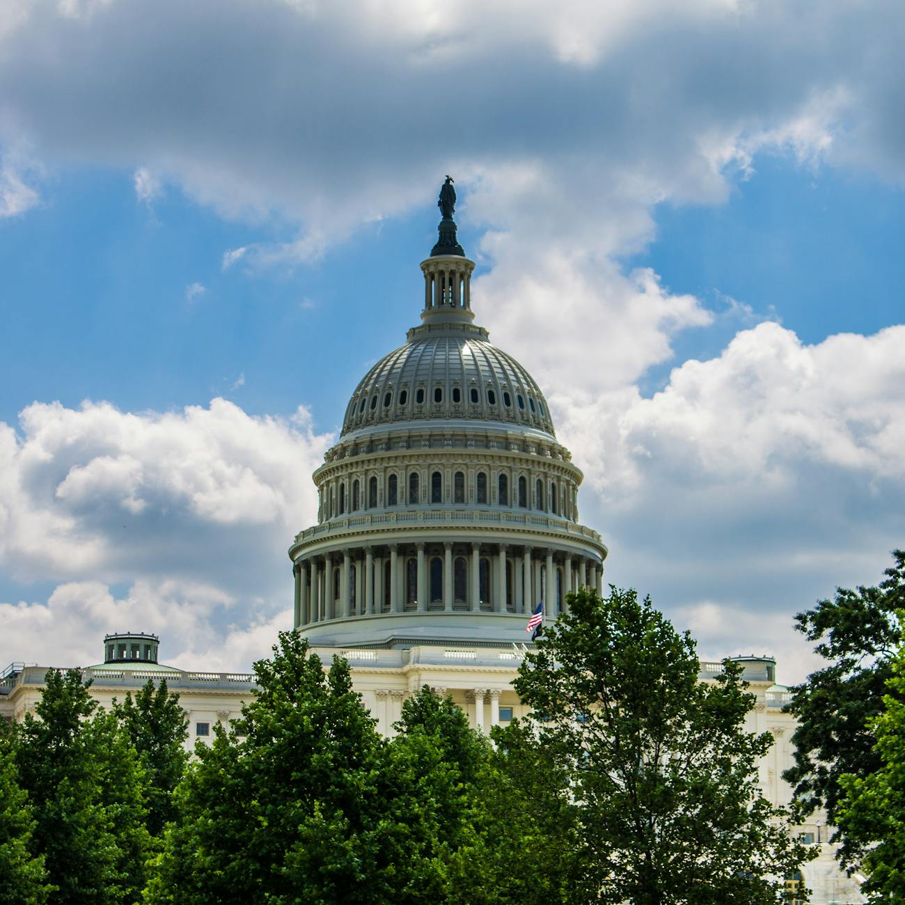 Public Policy and Advocacy