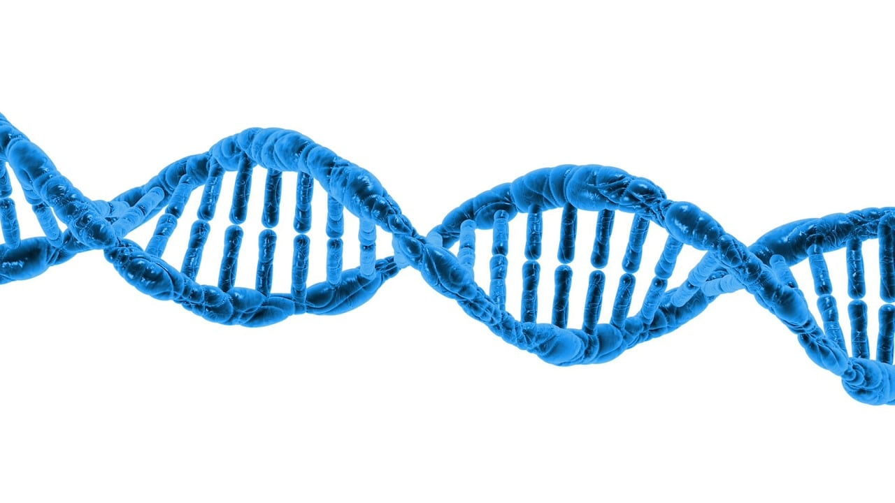 Reinforcement Learning in Biotechnology