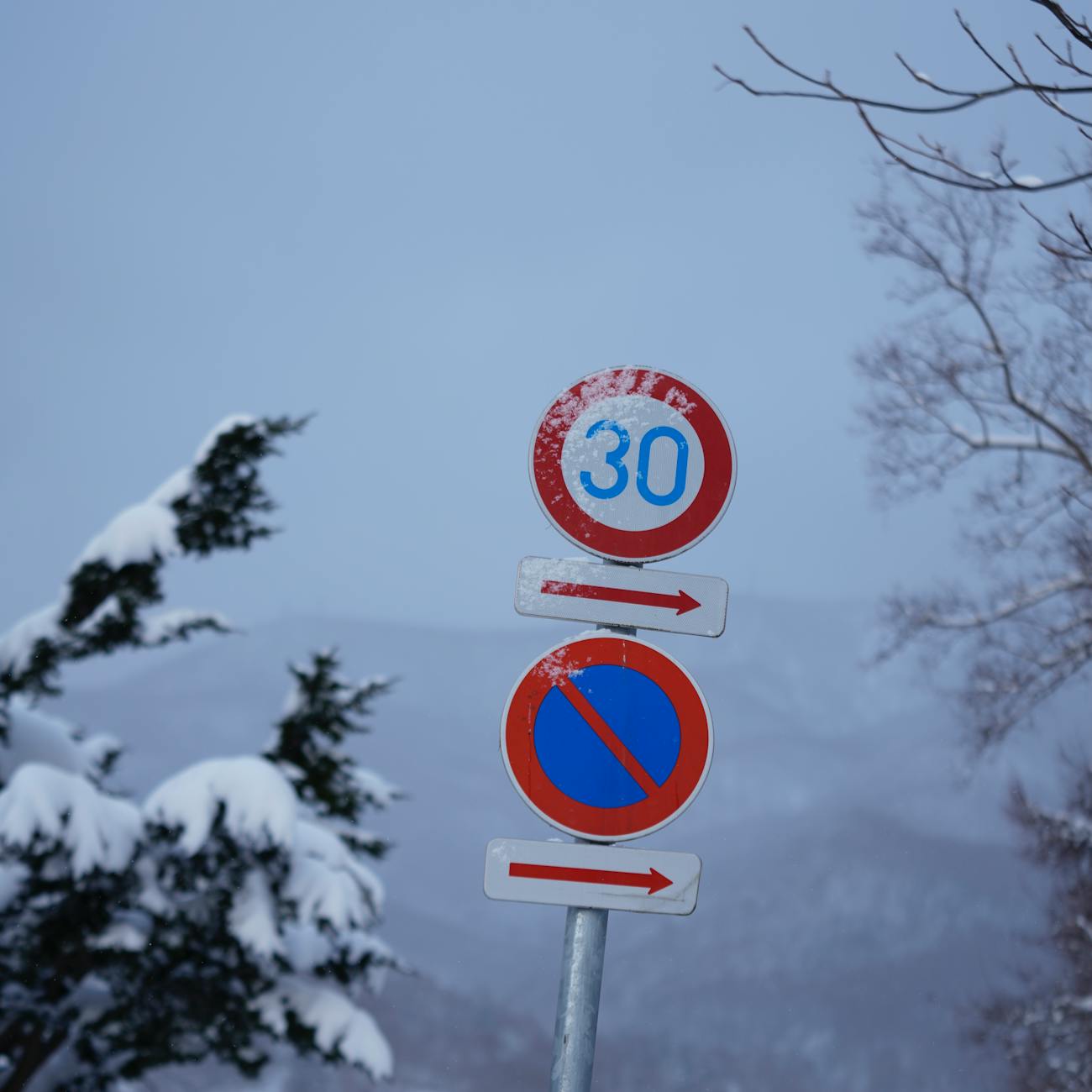 Regulatory Compliance in Education