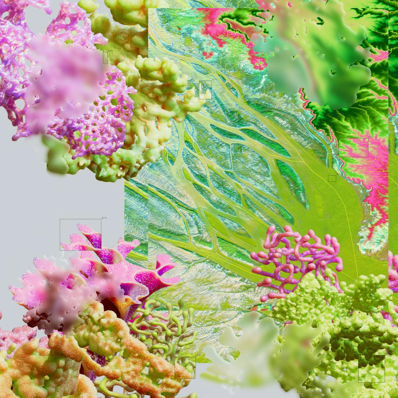 Molecular Diagnostics and Assays