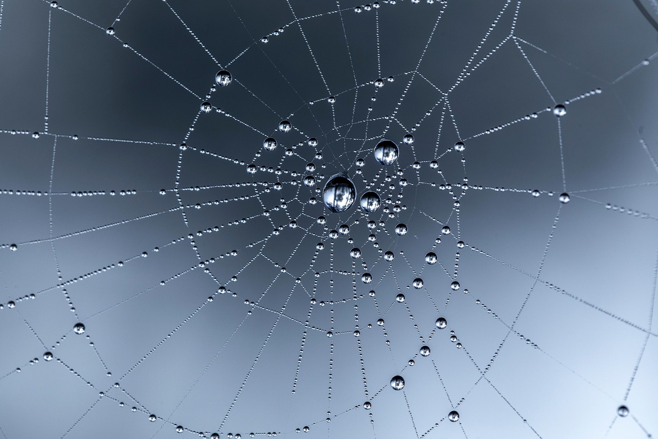 Web Accessibility