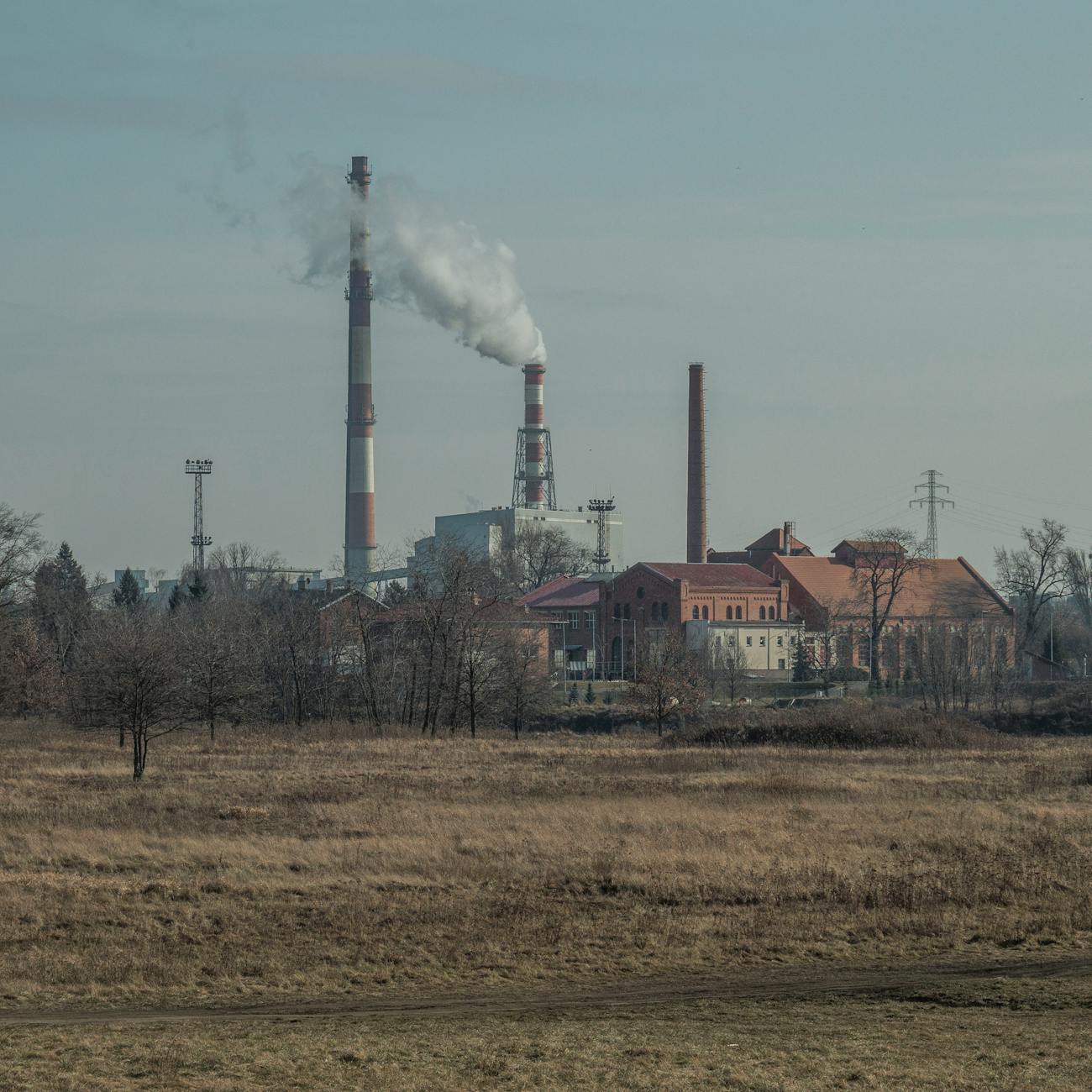 Pyrolysis Product Distribution and Composition