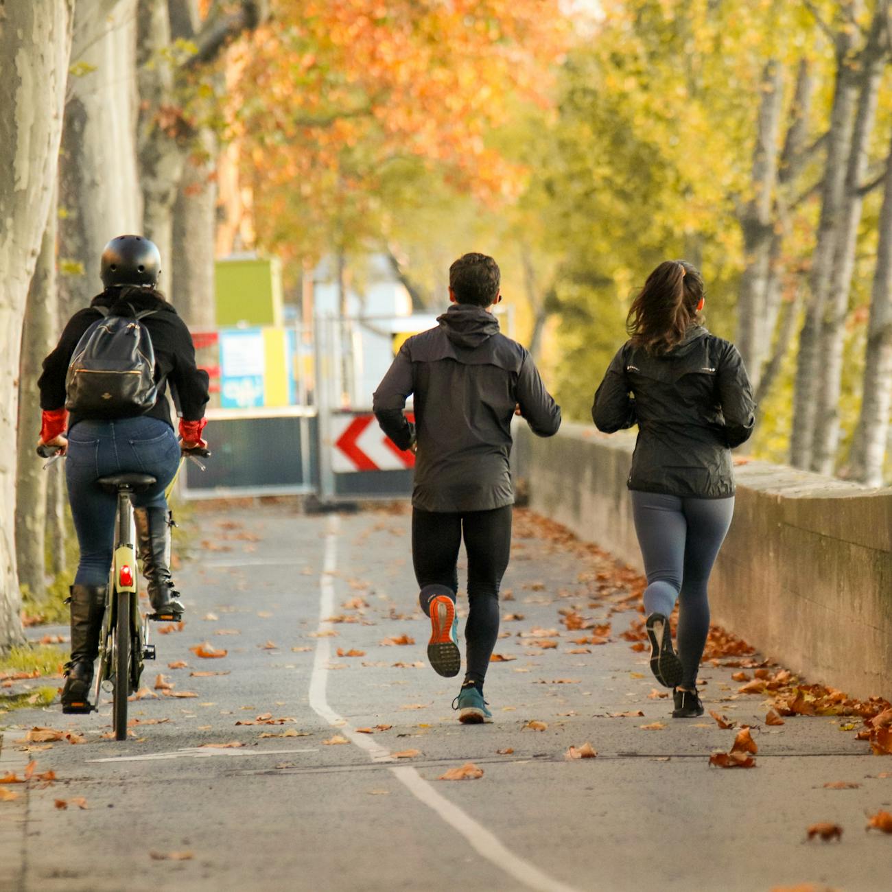 Exercise and Physical Activity Recommendations