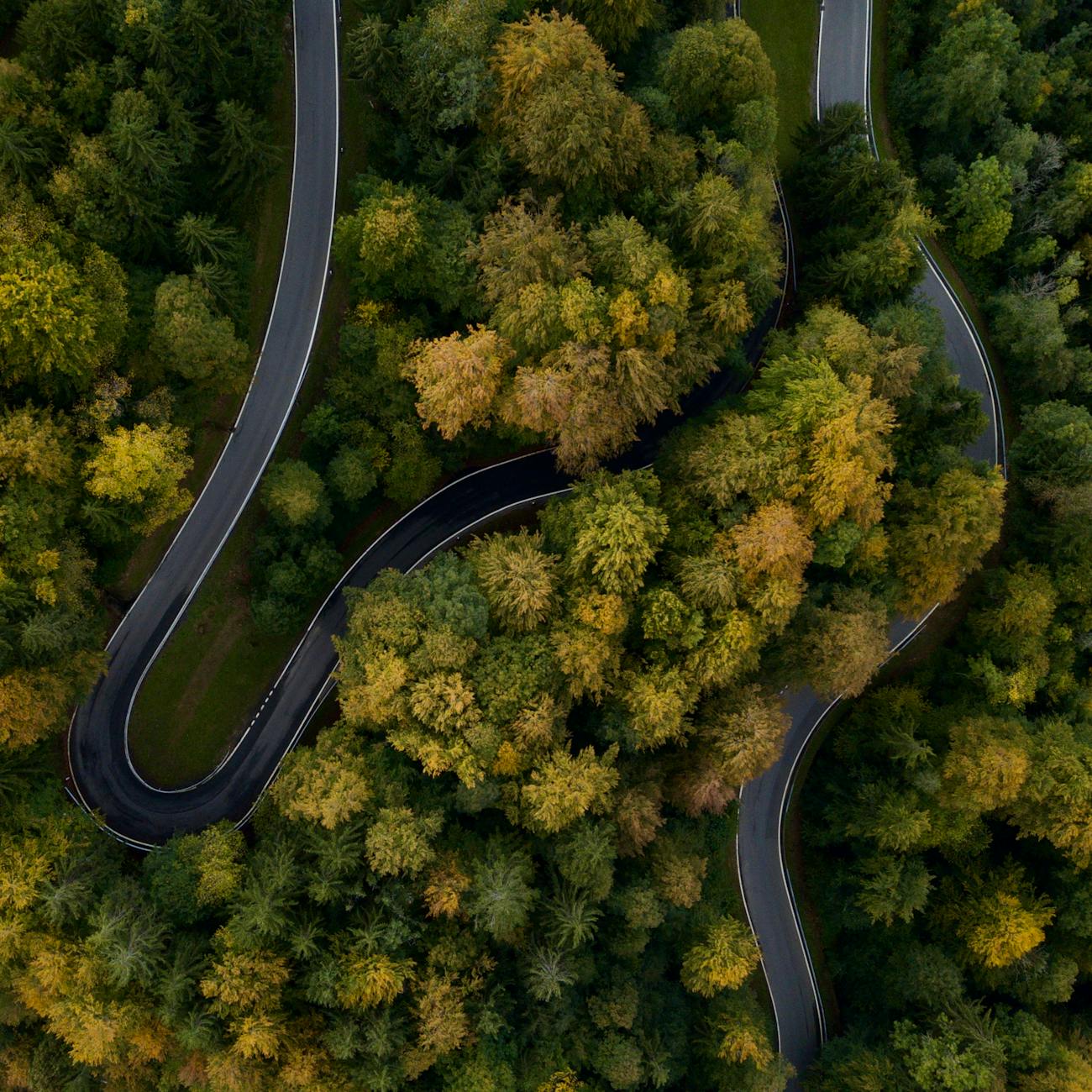 Sustainability and Social Responsibility in AI-Driven Supply Chain