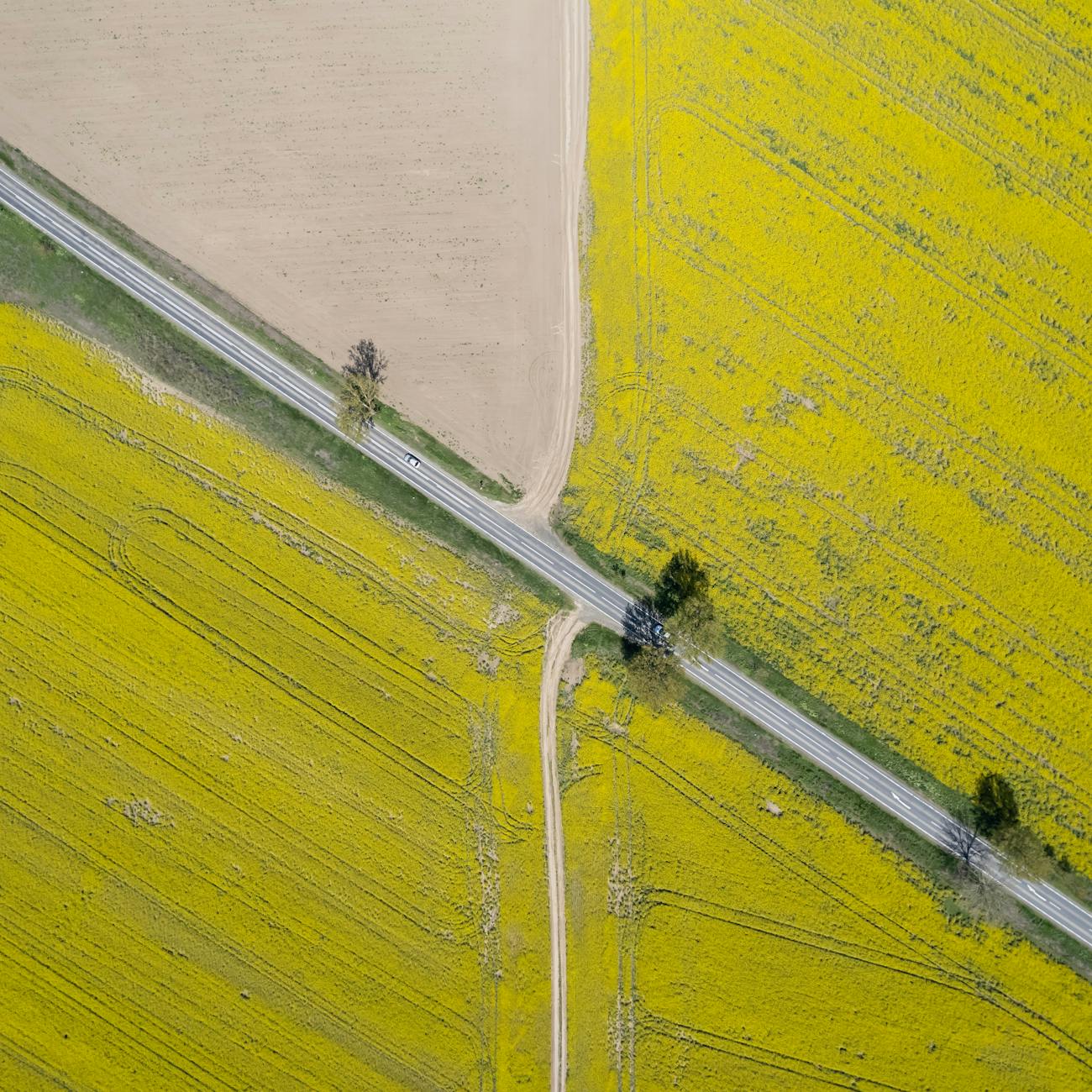 Agribusiness Operations and Technology Management