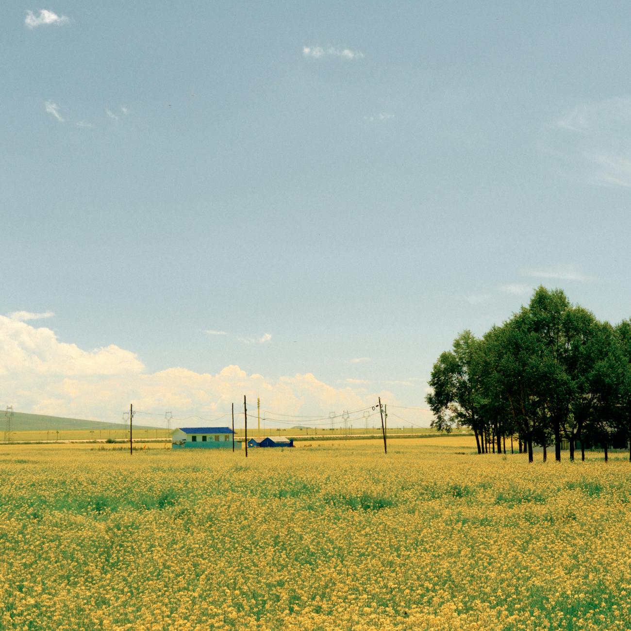 Agribusiness Project Management and Evaluation