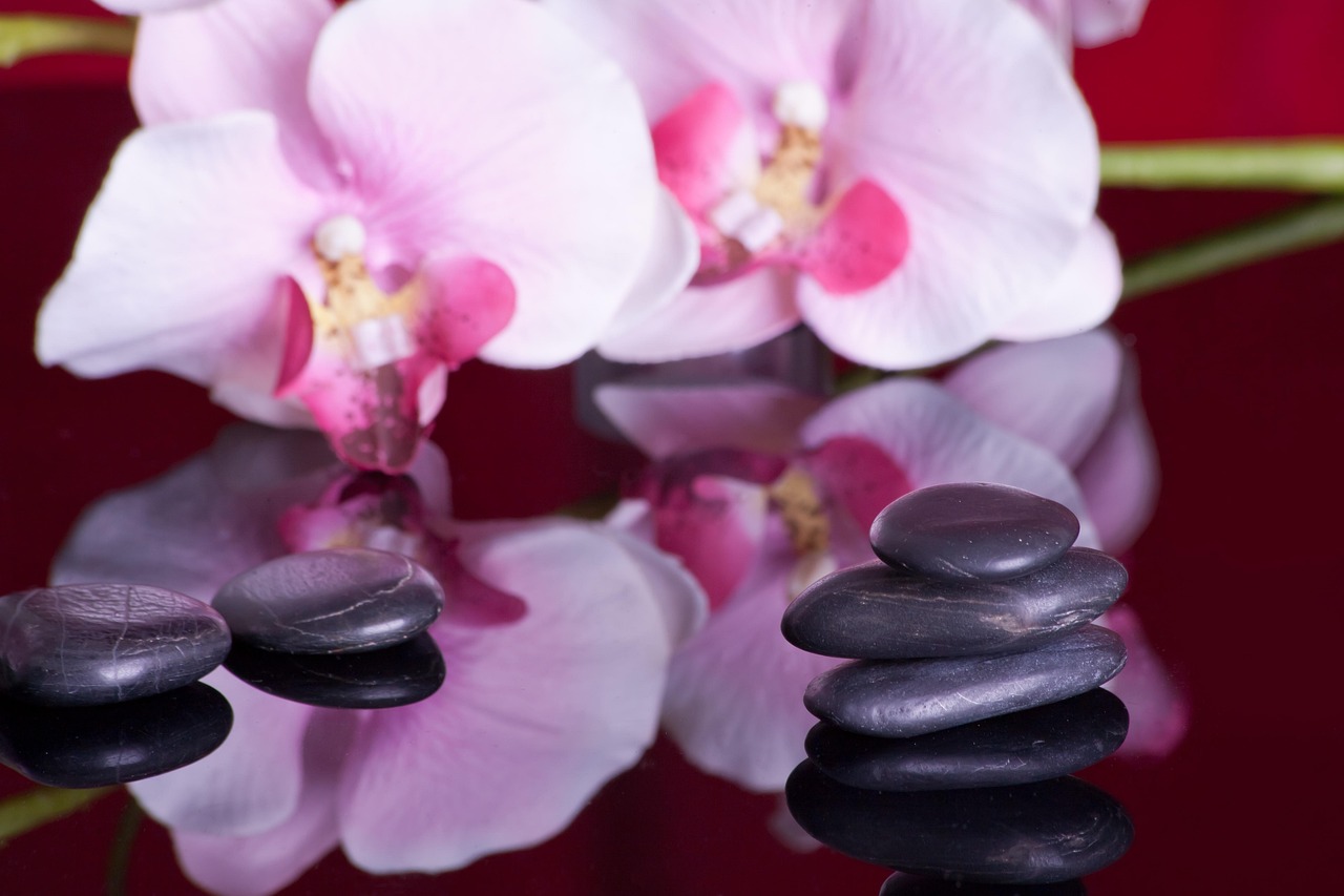 Creating a Healing Environment for Children