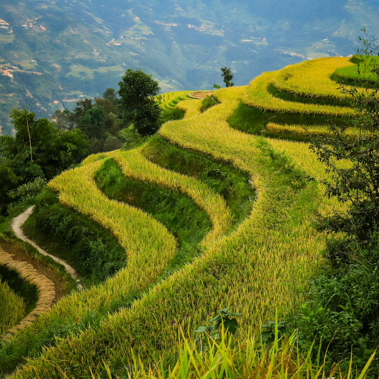 Agriculture Industry Overview