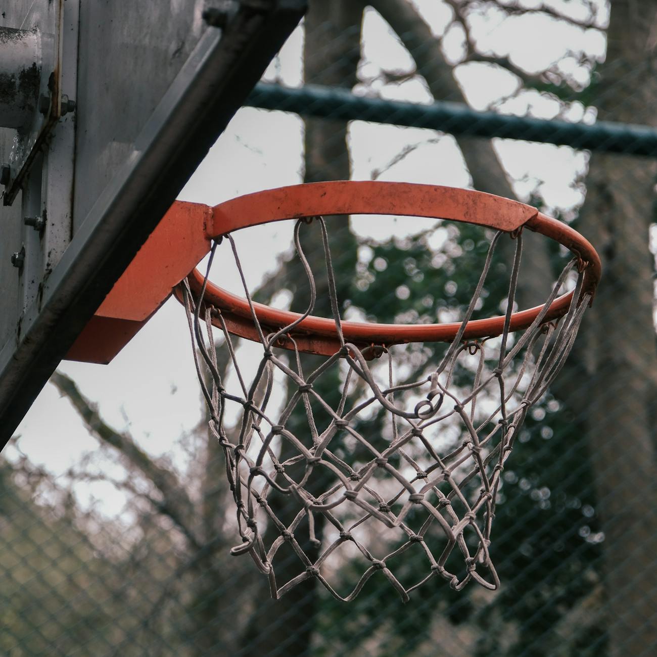 Evaluating Progress and Monitoring Results