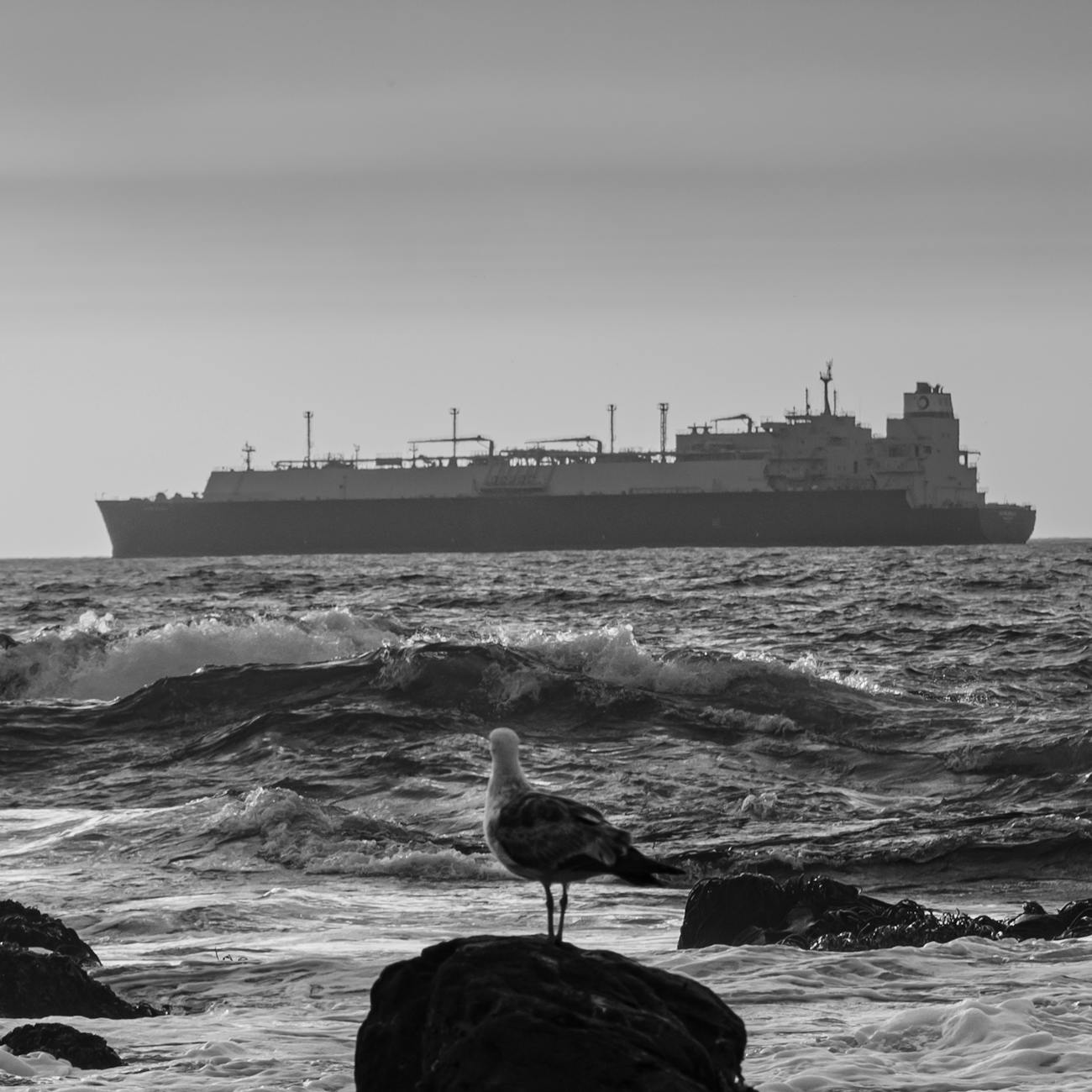 Regulatory Frameworks in Oil and Gas  