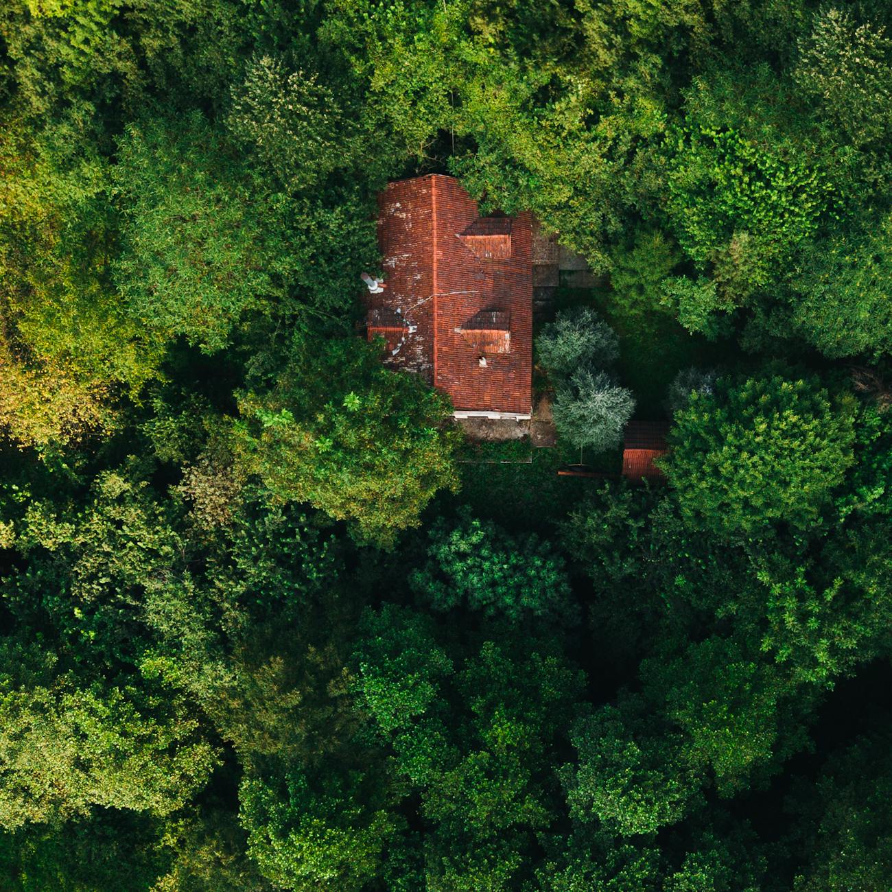 * Introduction to Environmental Psychology