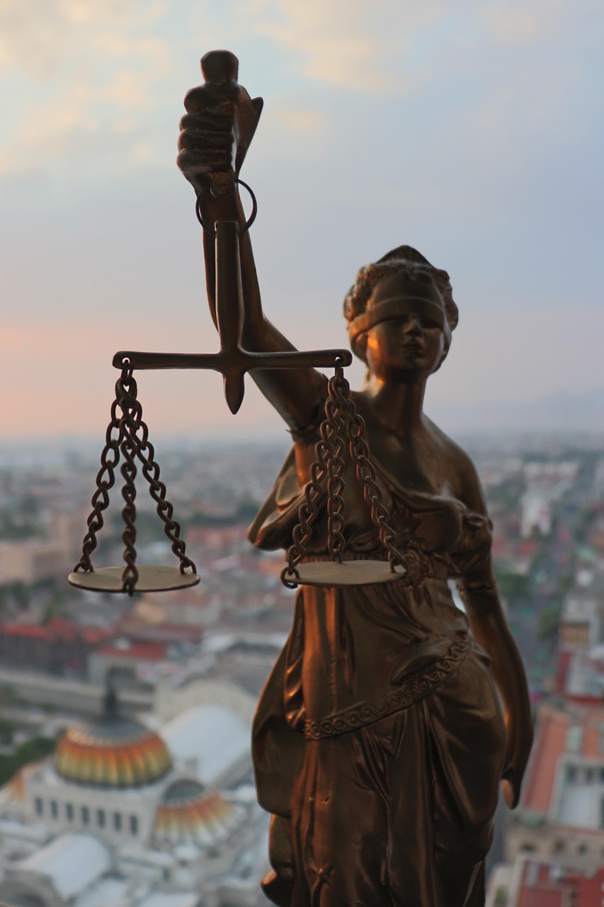 Human Rights and Constitutional History