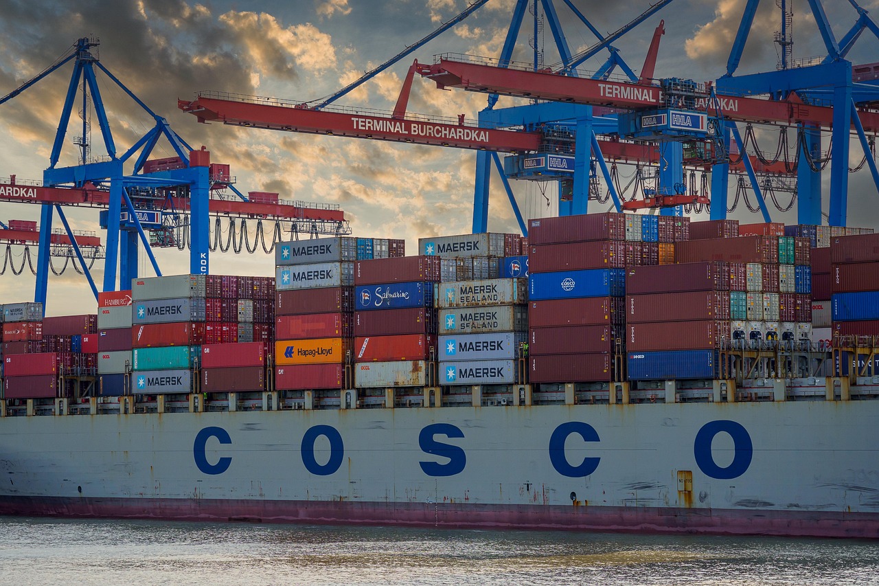 Supply Chain Dynamics