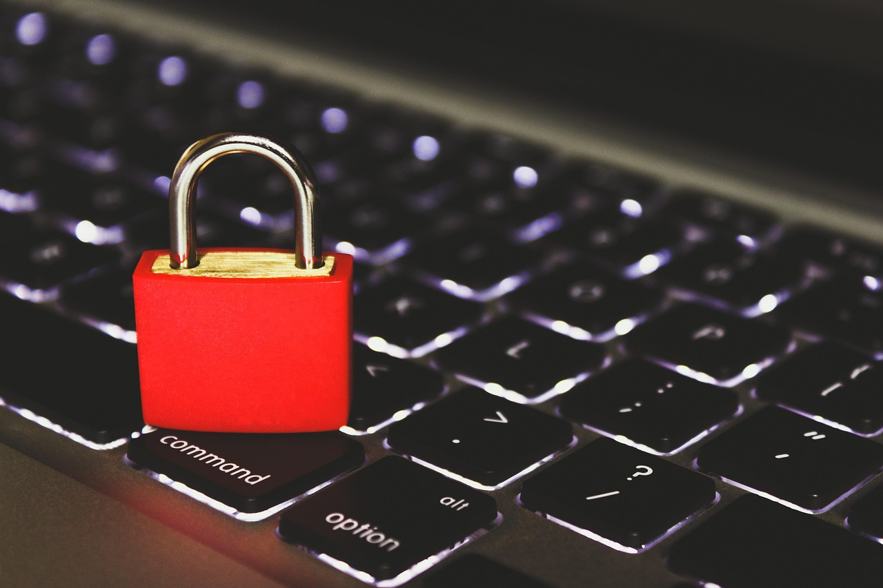 Data Privacy and Compliance in AI  